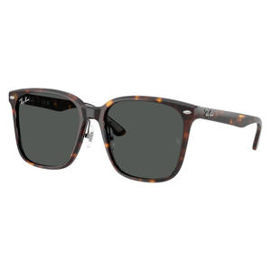 zonnebril met tortoise print 0RB2206D bruin
