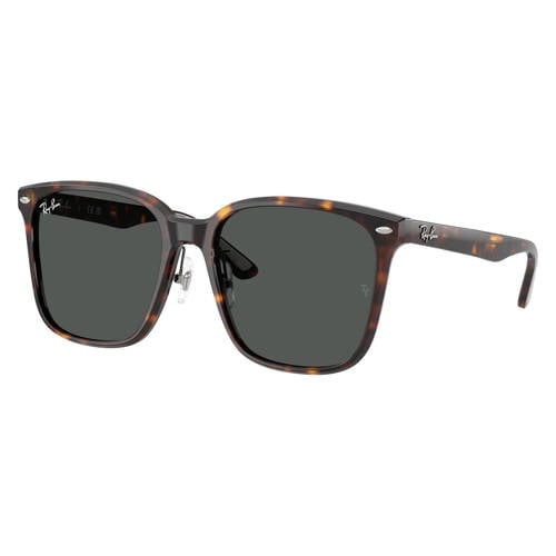 Ray-Ban zonnebril met tortoise print 0RB2206D bruin afbeelding