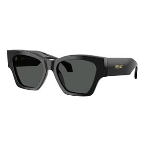 zonnebril 0VE4492U zwart
