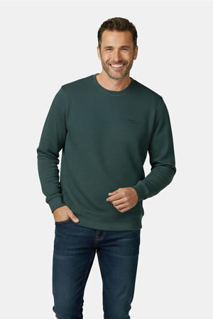 sweater groen