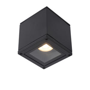 AVEN - Plafondspot Badkamer - 1xGU10 - IP65 - Zwart  