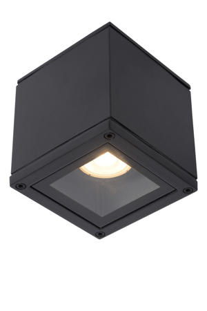 AVEN - Plafondspot Badkamer - 1xGU10 - IP65 - Zwart  