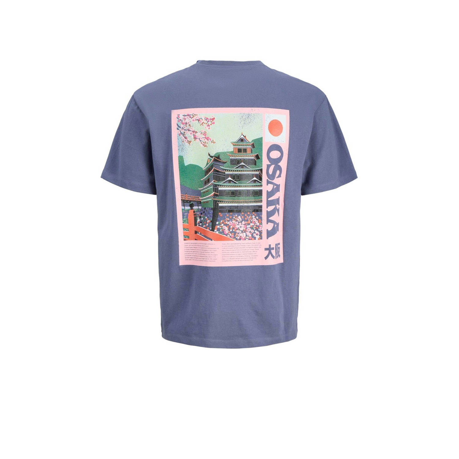 JACK & JONES JUNIOR T-shirt blauw