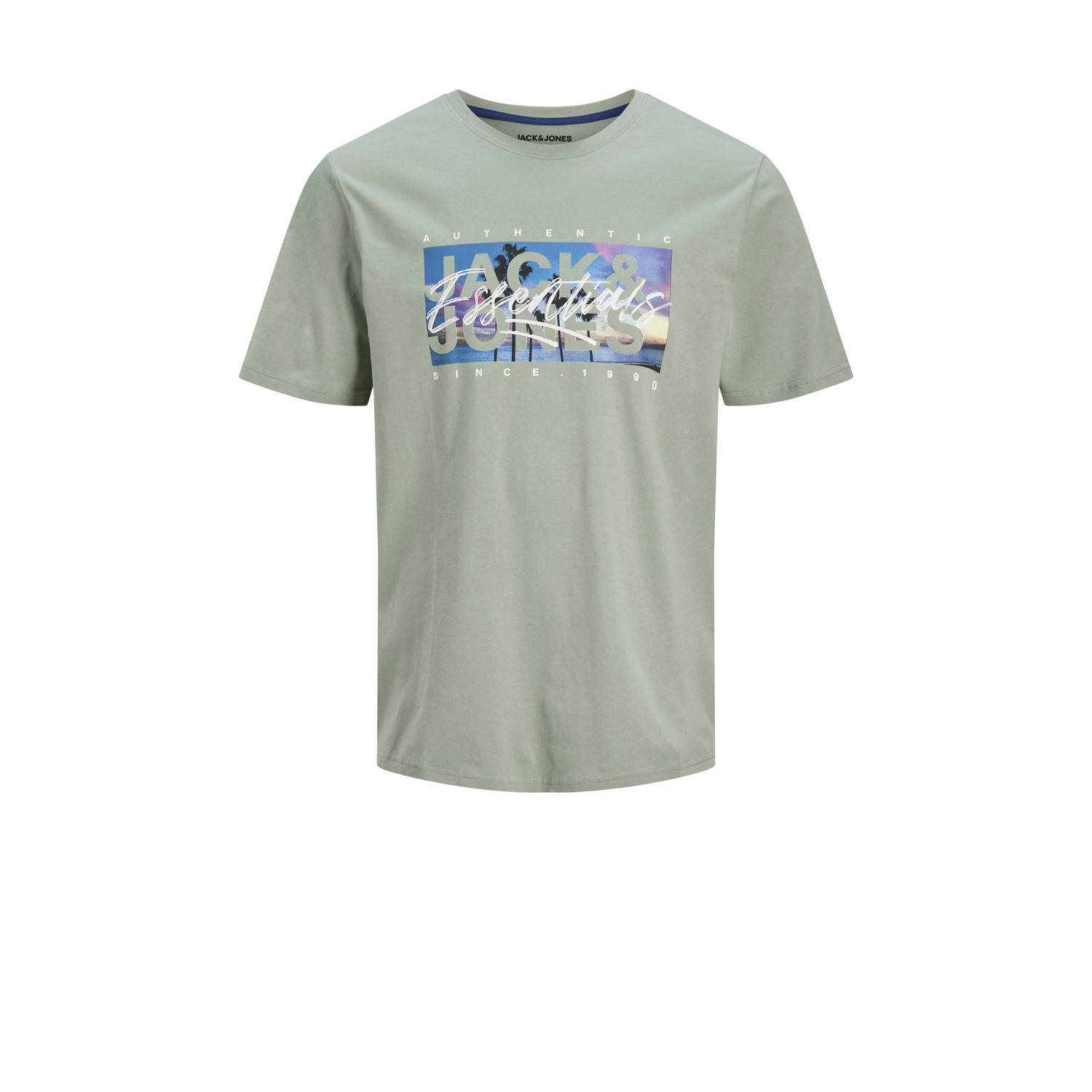 JACK & JONES PLUS SIZE regular t-shirt JJCOLTON multi (set van 5)