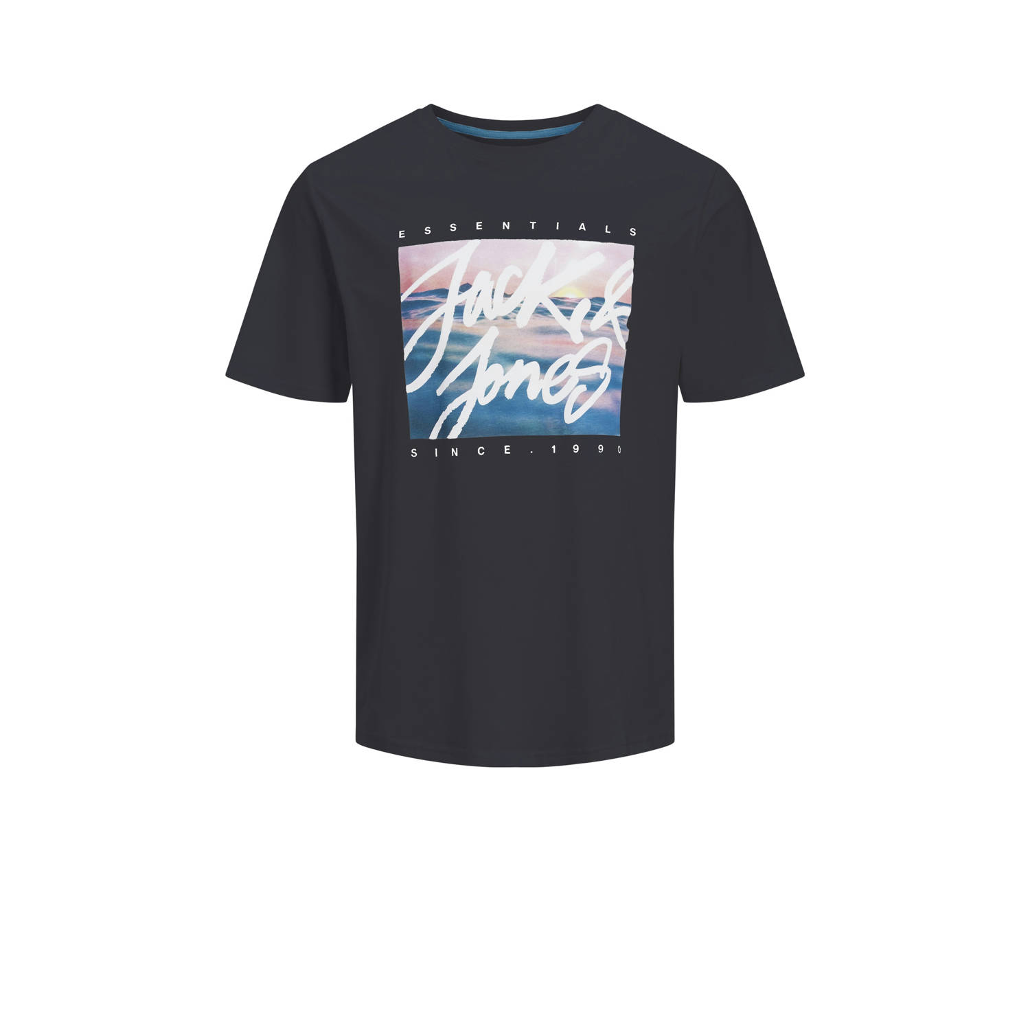JACK & JONES PLUS SIZE regular t-shirt JJCOLTON multi (set van 5)