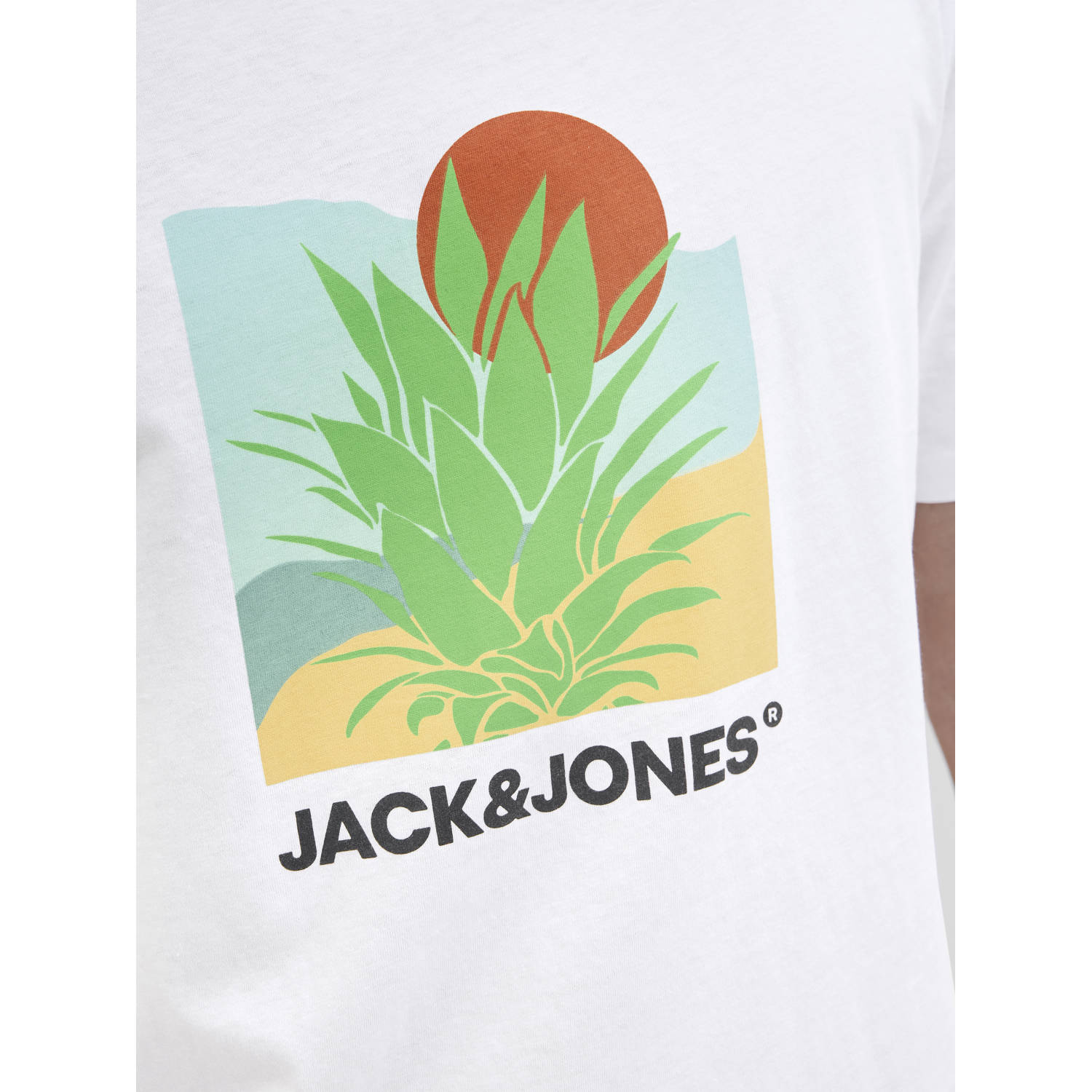 JACK & JONES PLUS SIZE T-shirt wit