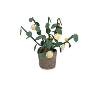 kunstplant Citrus (25x56 cm)