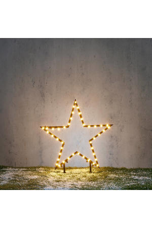 kerst tuinsteker ster (86 led)