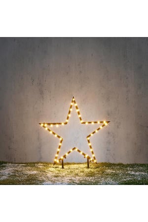 kerst tuinsteker ster (86 led)
