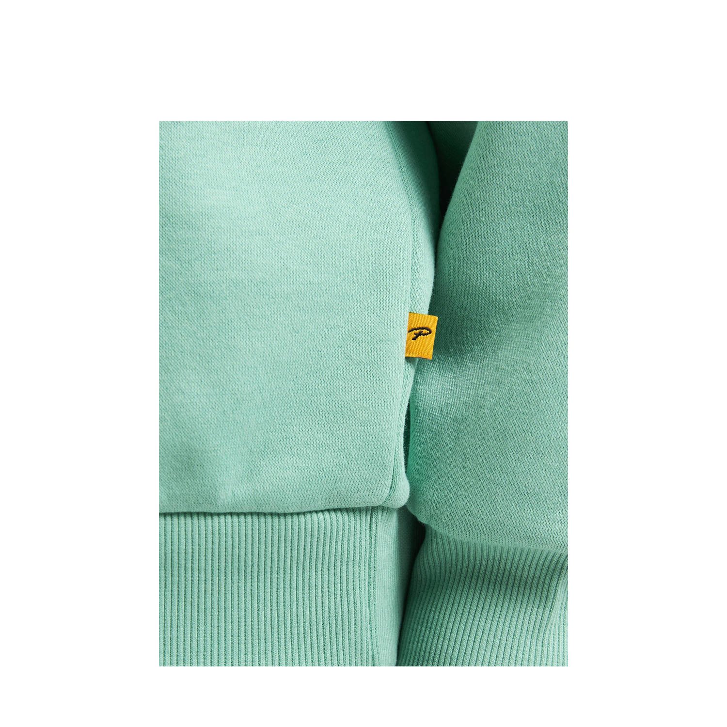 Petrol Industries sweater mintgroen