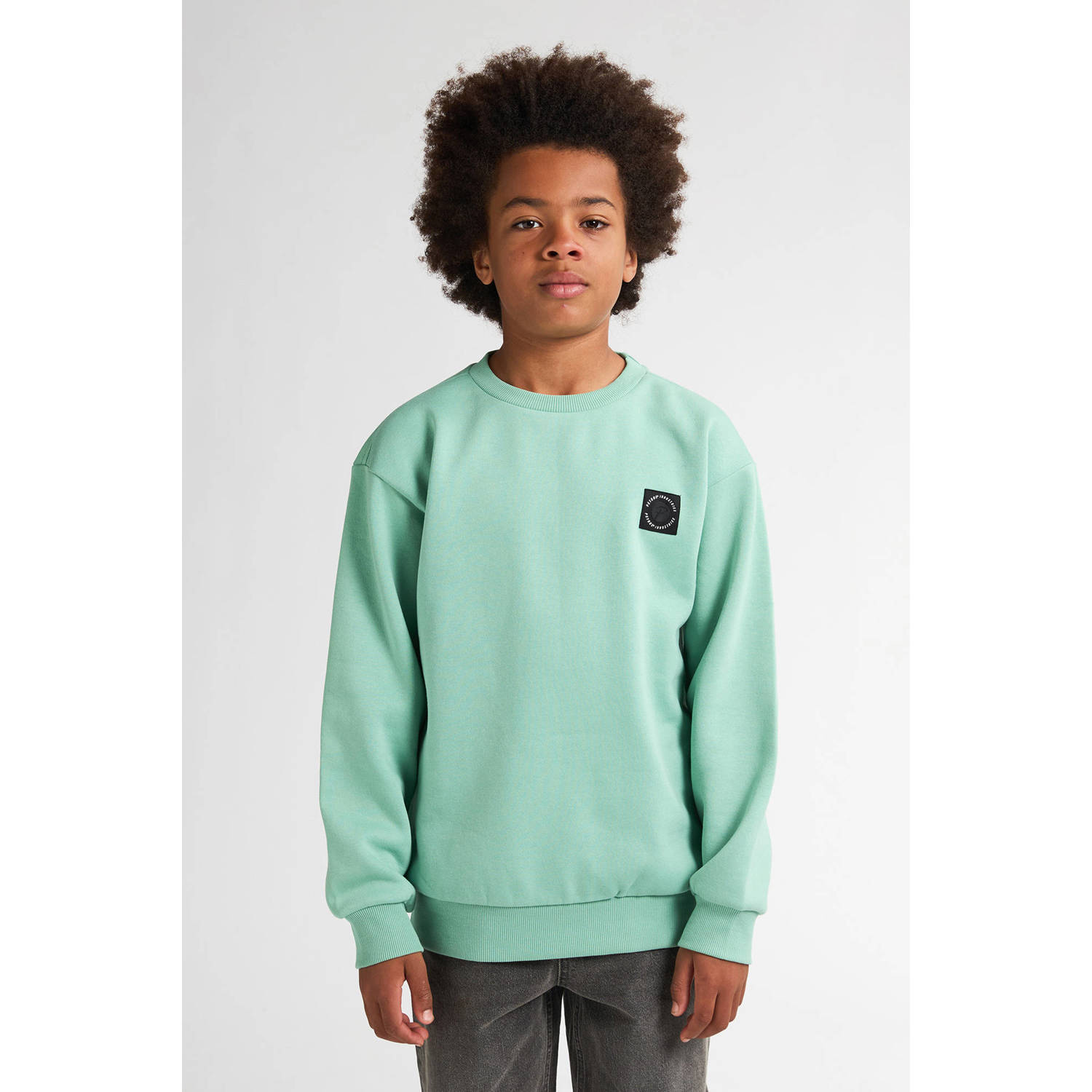 Petrol Industries sweater mintgroen