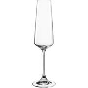 thumbnail: Leonardo Champagneglazen / Flutes - Paladino - 220 ml - 6 stuks