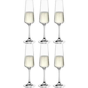 Champagneglazen / Flutes - Paladino - 220 ml - 6 stuks