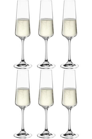 Champagneglazen / Flutes - Paladino - 220 ml - 6 stuks