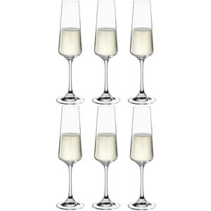 Champagneglazen Paladino - 220 ml - 6 stuks