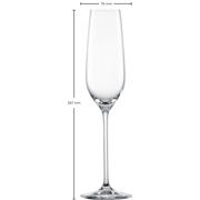 thumbnail: Schott Zwiesel Champagneglazen - Flutes - Fortissimo - 240 ml - 4 stuks