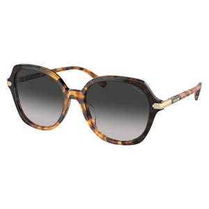 zonnebril CL925 met tortoise print bruin