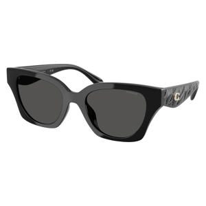zonnebril CAD18 zwart