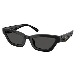 zonnebril CAD28 zwart