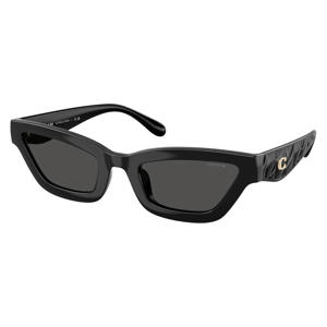 zonnebril CAD28 zwart
