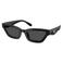 Coach zonnebril CAD28 zwart