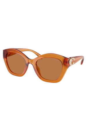 zonnebril CAD31 bruin