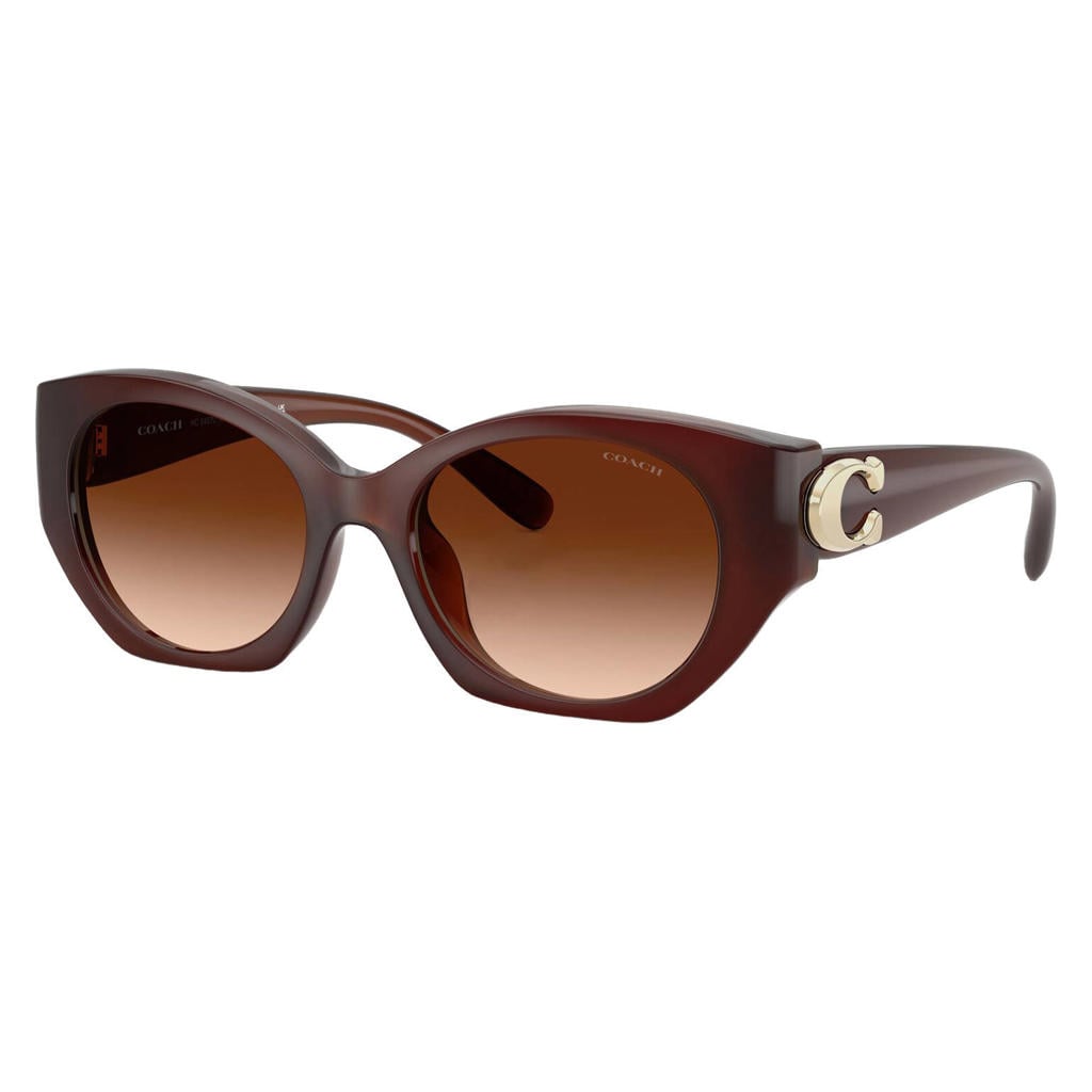 Coach zonnebril CW194 bruin