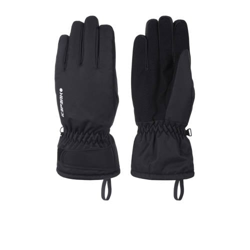 Icepeak handschoenen Hayden zwart afbeelding