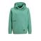 Petrol Industries hoodie groen