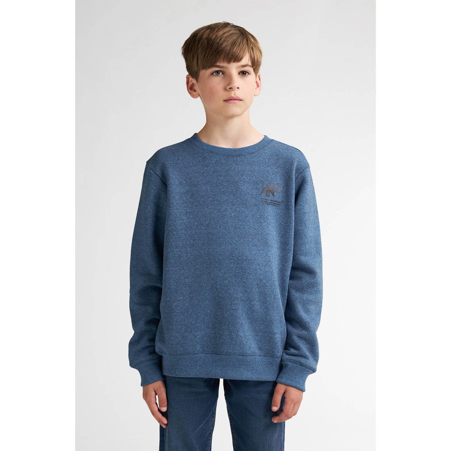 Petrol Industries sweater blauw