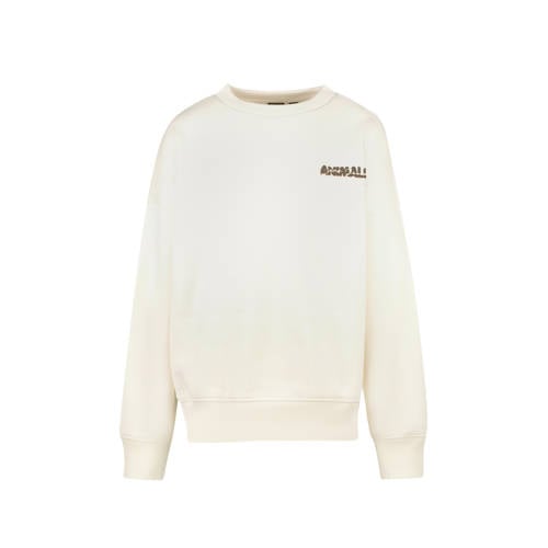 Cars sweater met backprint beige afbeelding