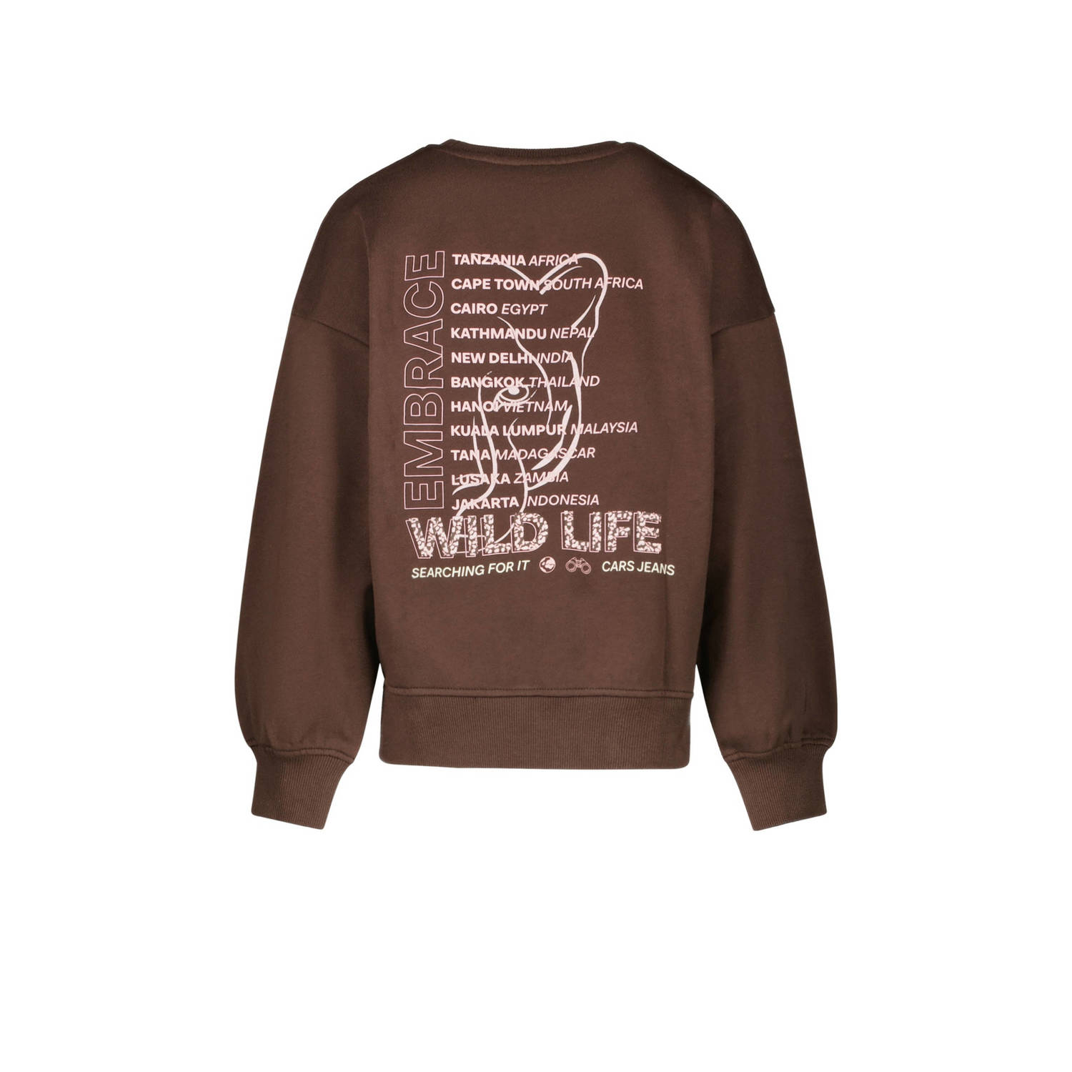 Cars sweater bruin