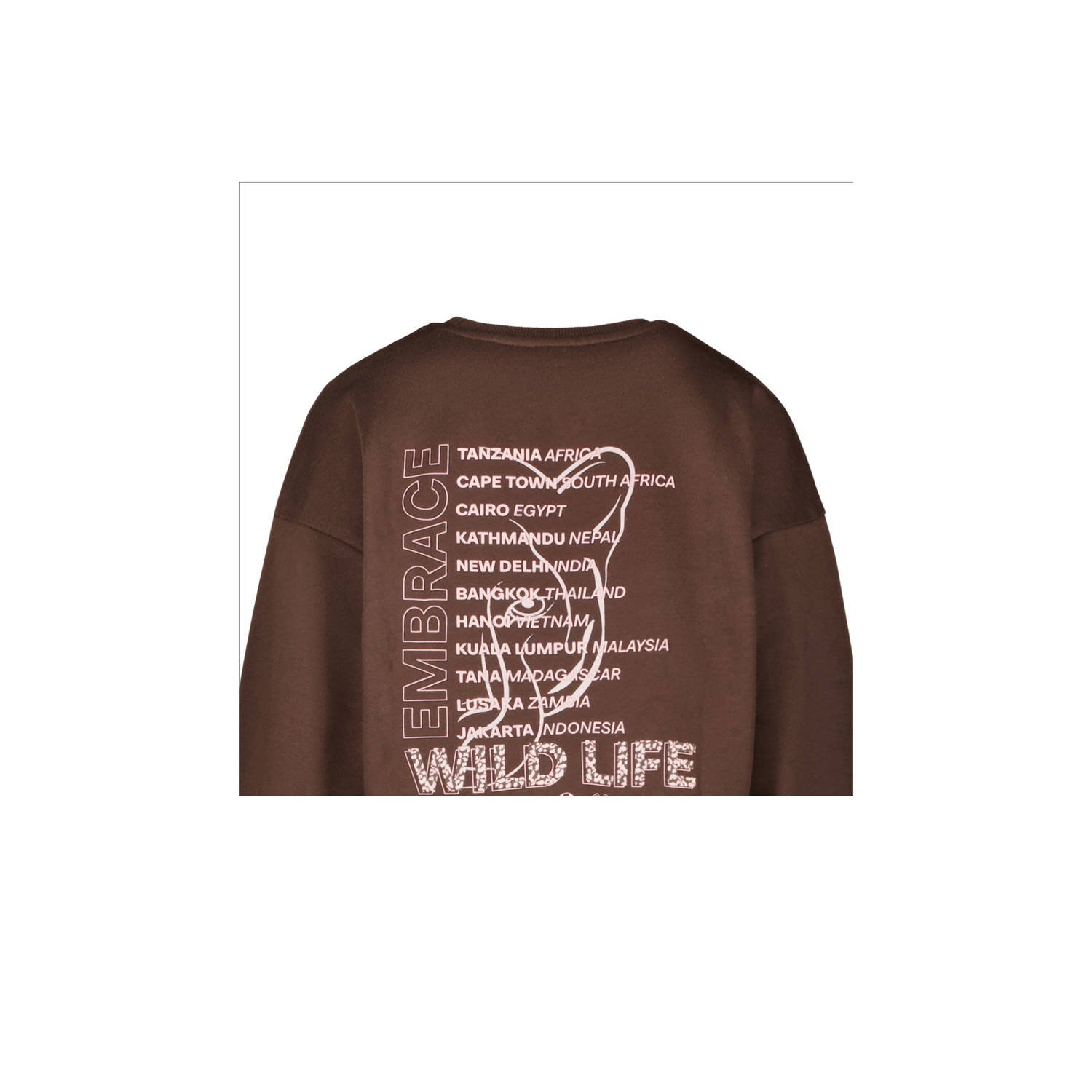 Cars sweater bruin