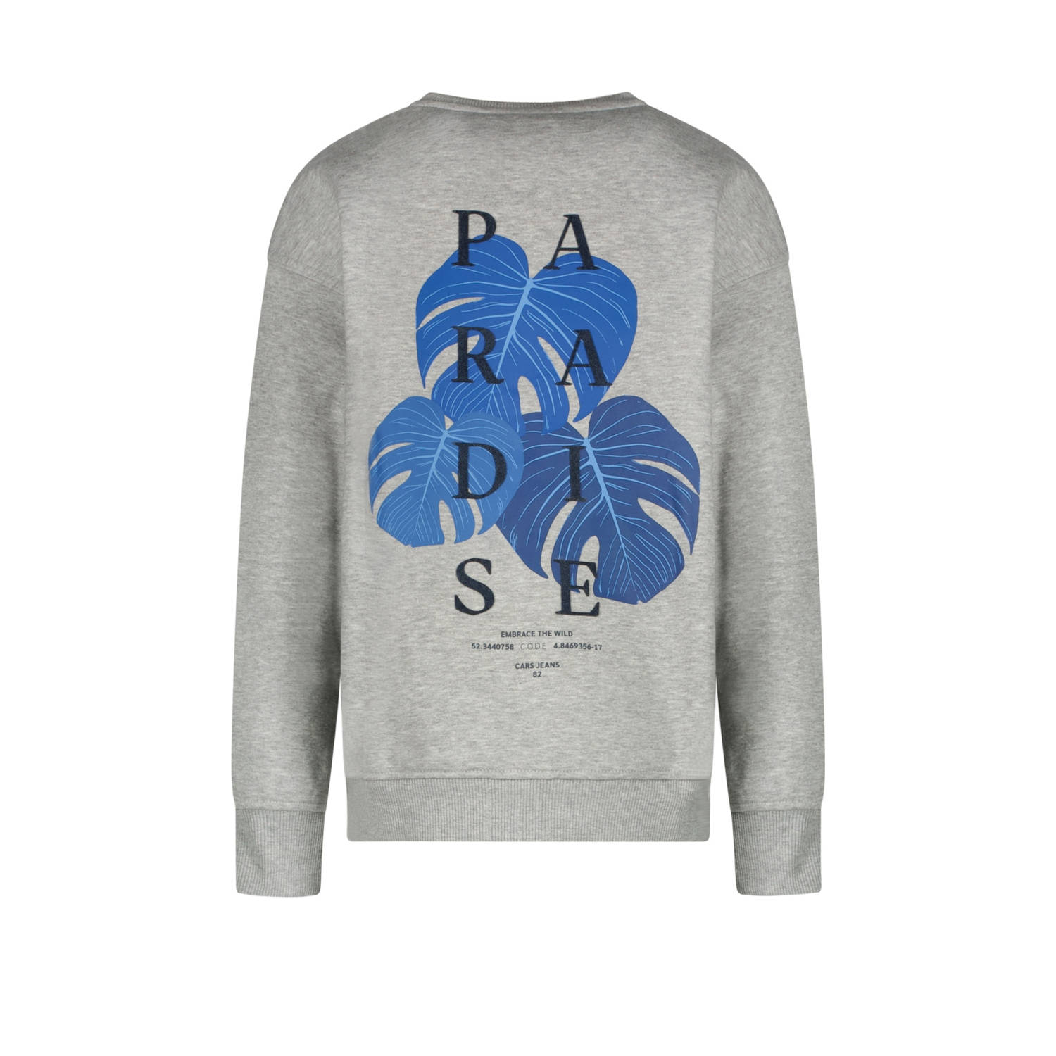 Cars sweater grijs melange