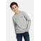 Cars sweater grijs melange