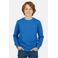 Cars sweater blauw