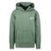 Cars hoodie groen