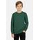 Cars sweater donkergroen
