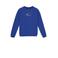 Indian Blue Jeans sweater blauw