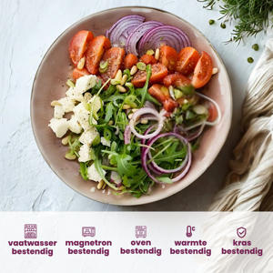 Dinerbord Laguna Old Rose ø 27 cm - 4 Stuks 