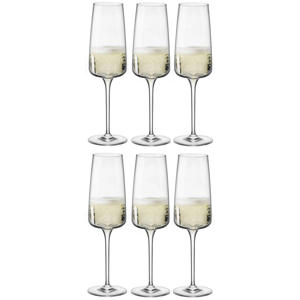Champagneglazen - Flutes - Nexo - 240 ml - 6 stuks
