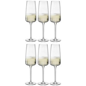 Champagneglazen - Flutes - Nexo - 240 ml - 6 stuks
