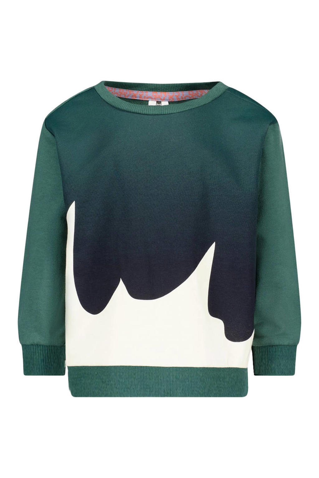 Groen, donkerblauw en witte jongens B.Nosy sweater van katoen met printopdruk, lange mouwen, ronde hals en geribde boorden