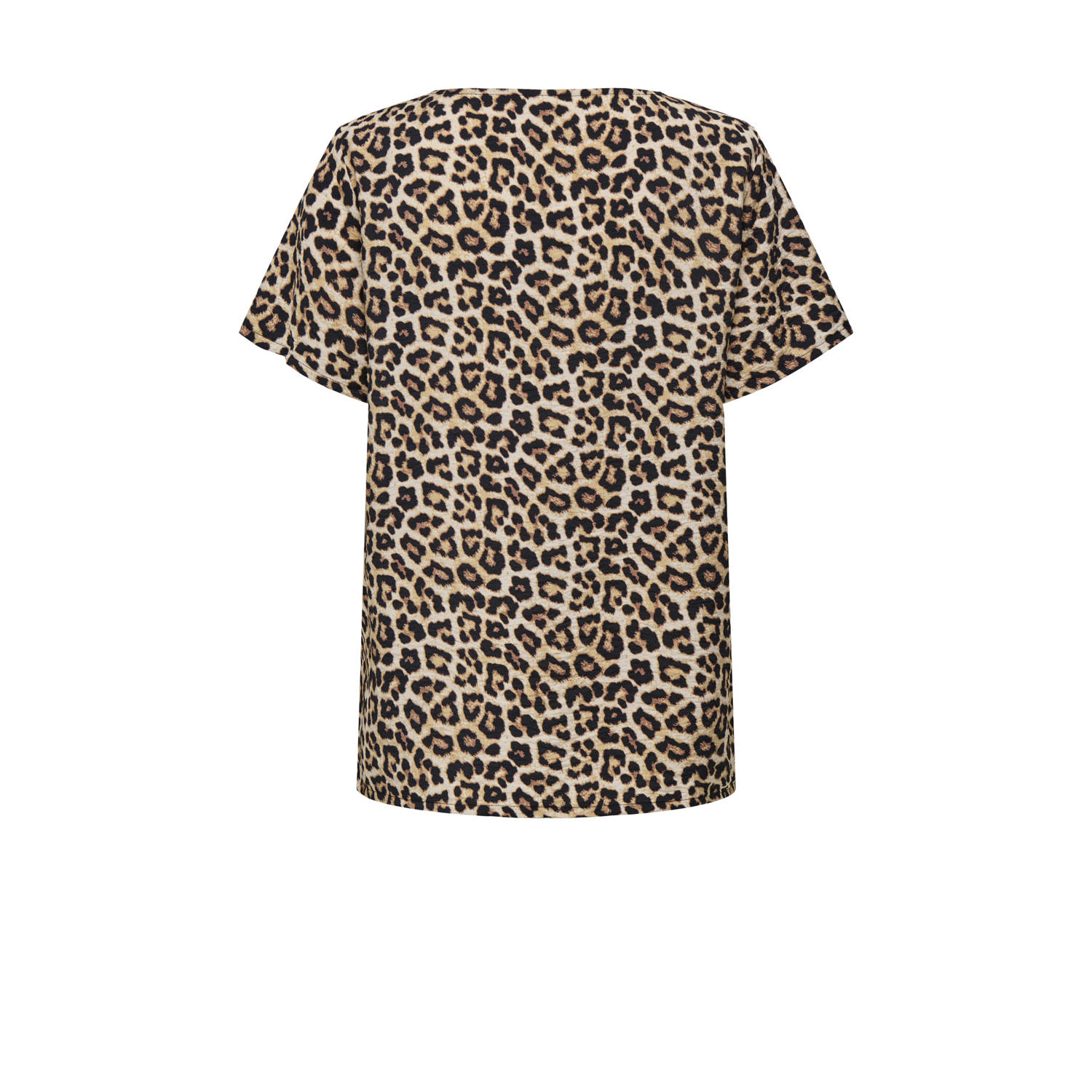 JDY top bruin