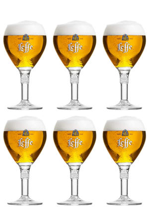 Bierglazen 250 ml - 6 Stuks