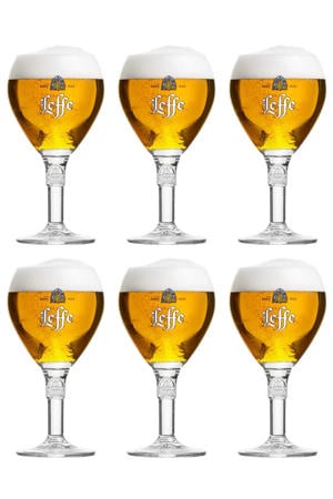 Bierglazen 250 ml - 6 Stuks