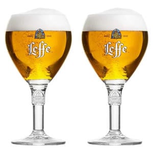 Bierglazen 250 ml - 2 stuks