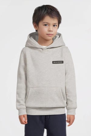 hoodie lichtgrijs