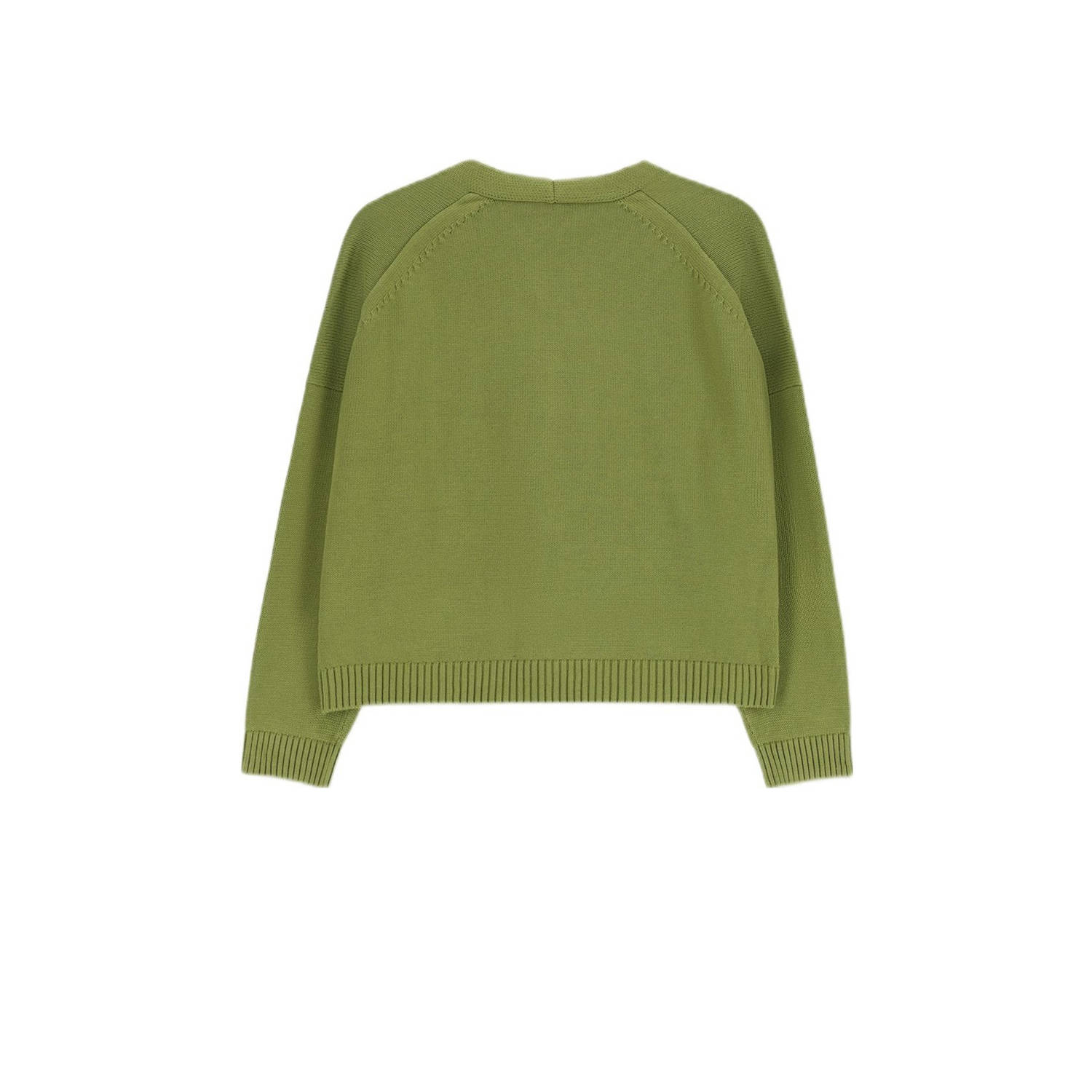 Sissy-Boy vest groen fijn gebreid