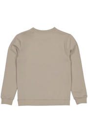 thumbnail: Taupe jongens LEVV sweater van katoen met printopdruk, lange mouwen, ronde hals en geribde boorden